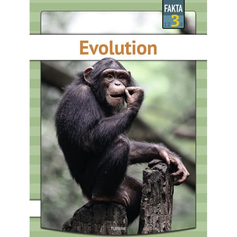 Evolution - Sigurd Toftdahl Terkelsen (Fakta 3)