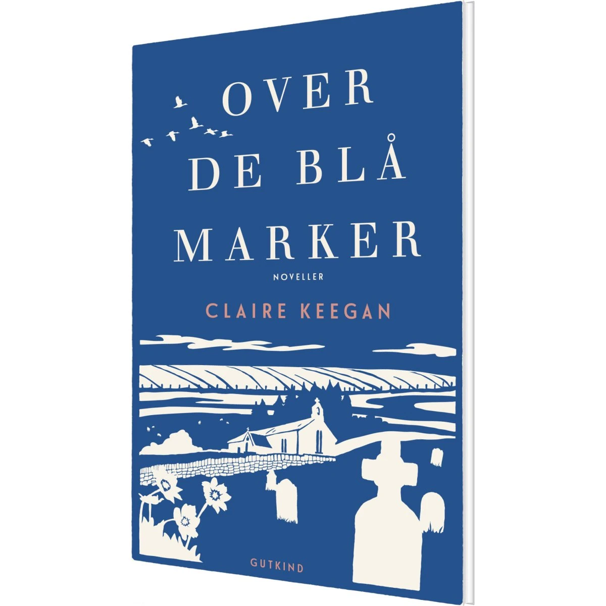 Claire Keegan: Over de blå marker - Bog