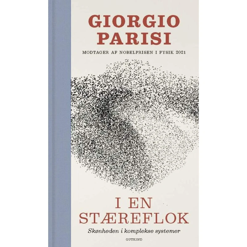 I en stæreflok - Giorgio Parisi - Bog