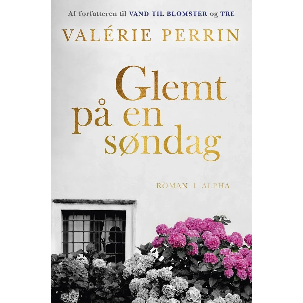 Glemt på en søndag - Valérie Perrin - Bog