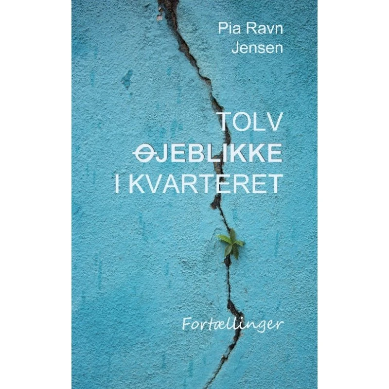 Tolv øjeblikke i kvarteret af Pia Ravn Jensen