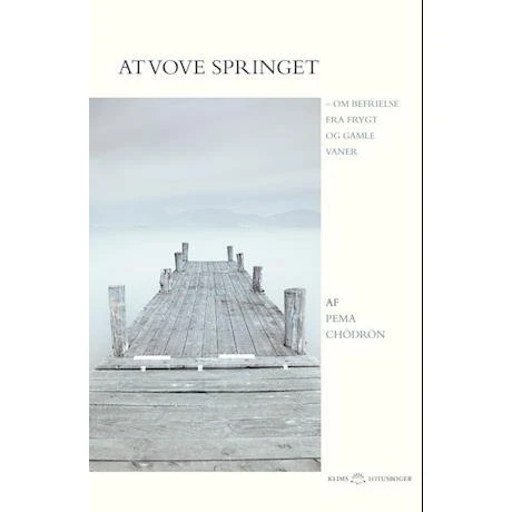 Pema Chödrön: At vove springet - Bog