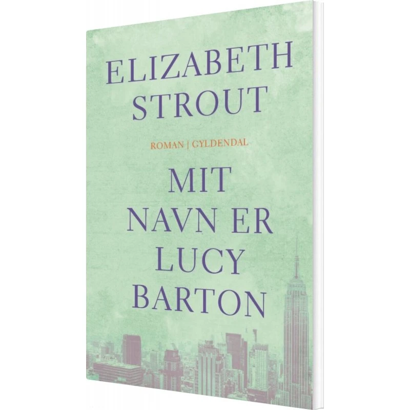 Elizabeth Strout: Mit Navn Er Lucy Barton (Bog)