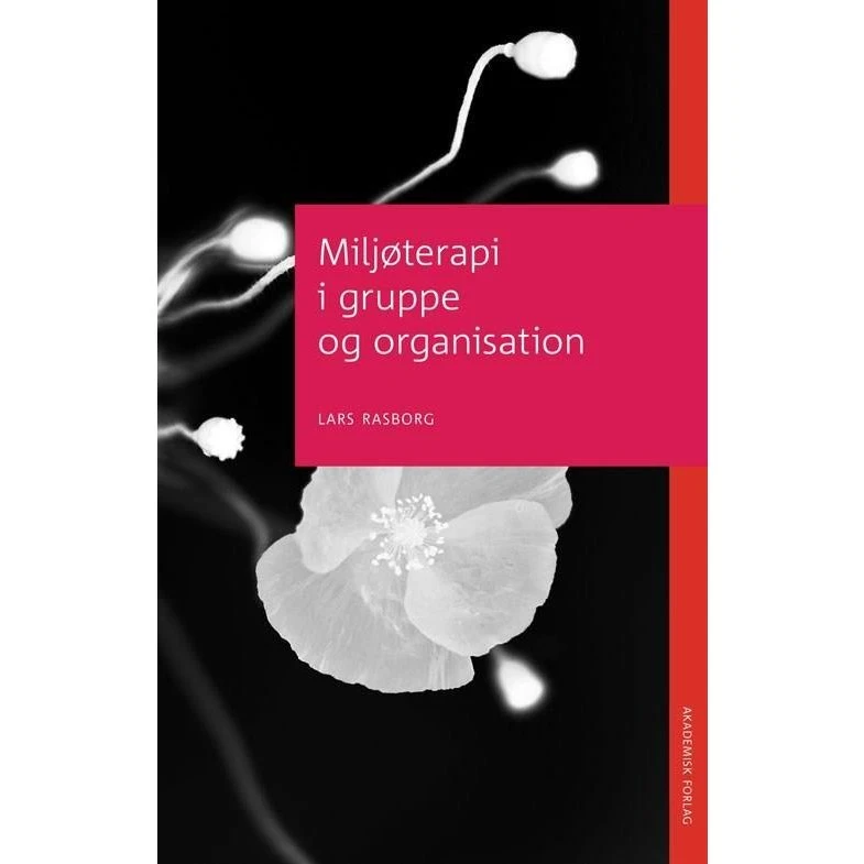 Miljøterapi i gruppe og organisation - Lars Rasborg