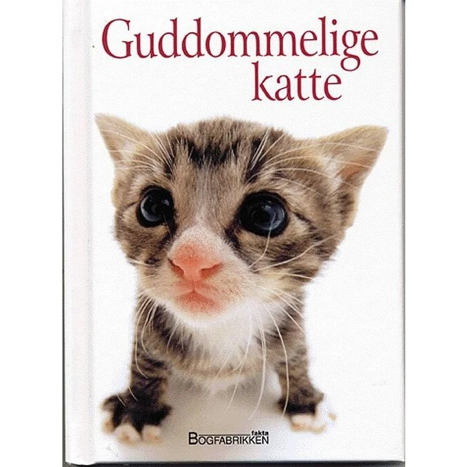 Guddommelige Katte - Helen Exley - Bog