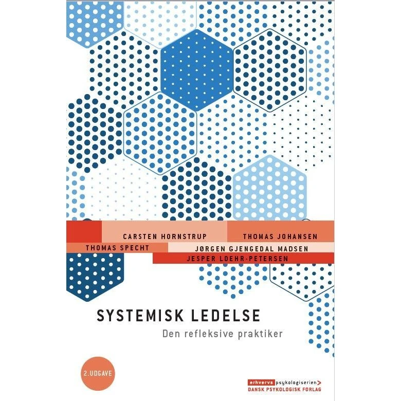 Systemisk ledelse - Den refleksive praktiker, 2. udgave