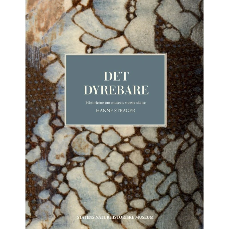 Det dyrebare af Hanne Strager - Bog