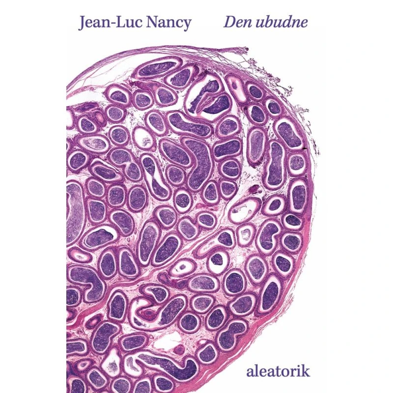 Den ubudne - Jean-Luc Nancy