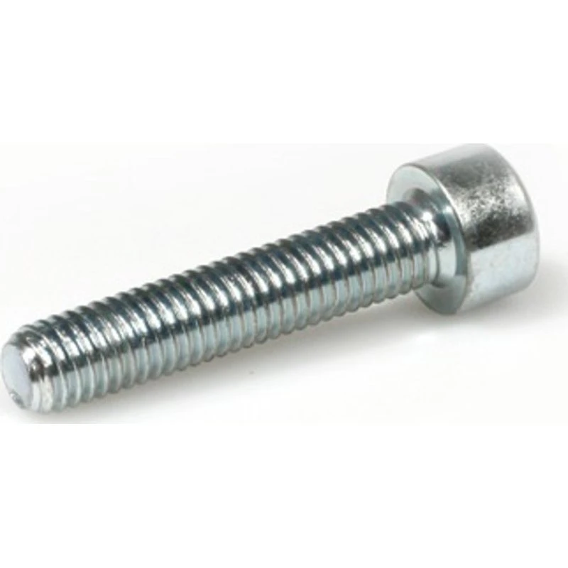 Arvid Nilsson Insexskrue M5 x 25 mm, 500 stk.