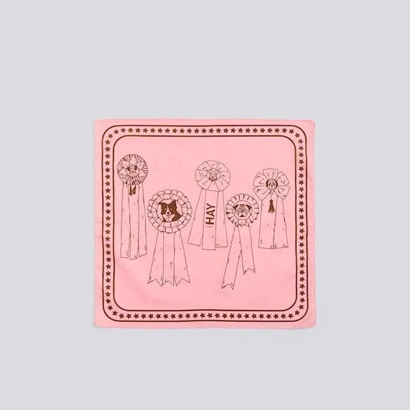 Hay Recycled Dogs Scarf 55 x 55 - Pink